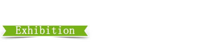 25T ความแม่นยําการควบคุมสูง เครื่องพิมพ์แผ่น vulcanizing 4